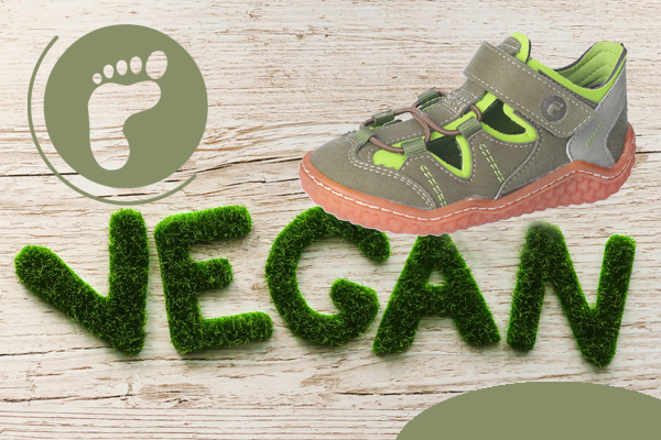 Blog_Vegan1